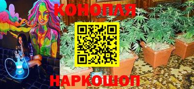 дмт Новодвинск