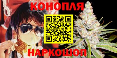 дмт Новодвинск
