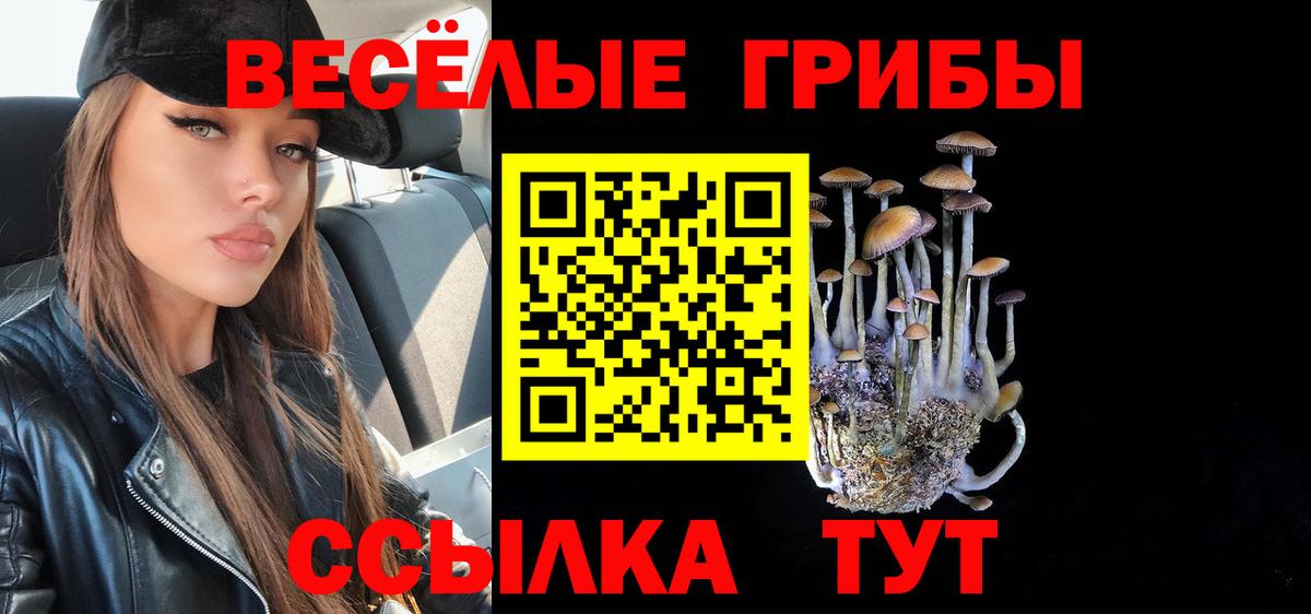 Галлюциногенные грибы Cubensis Саяногорск